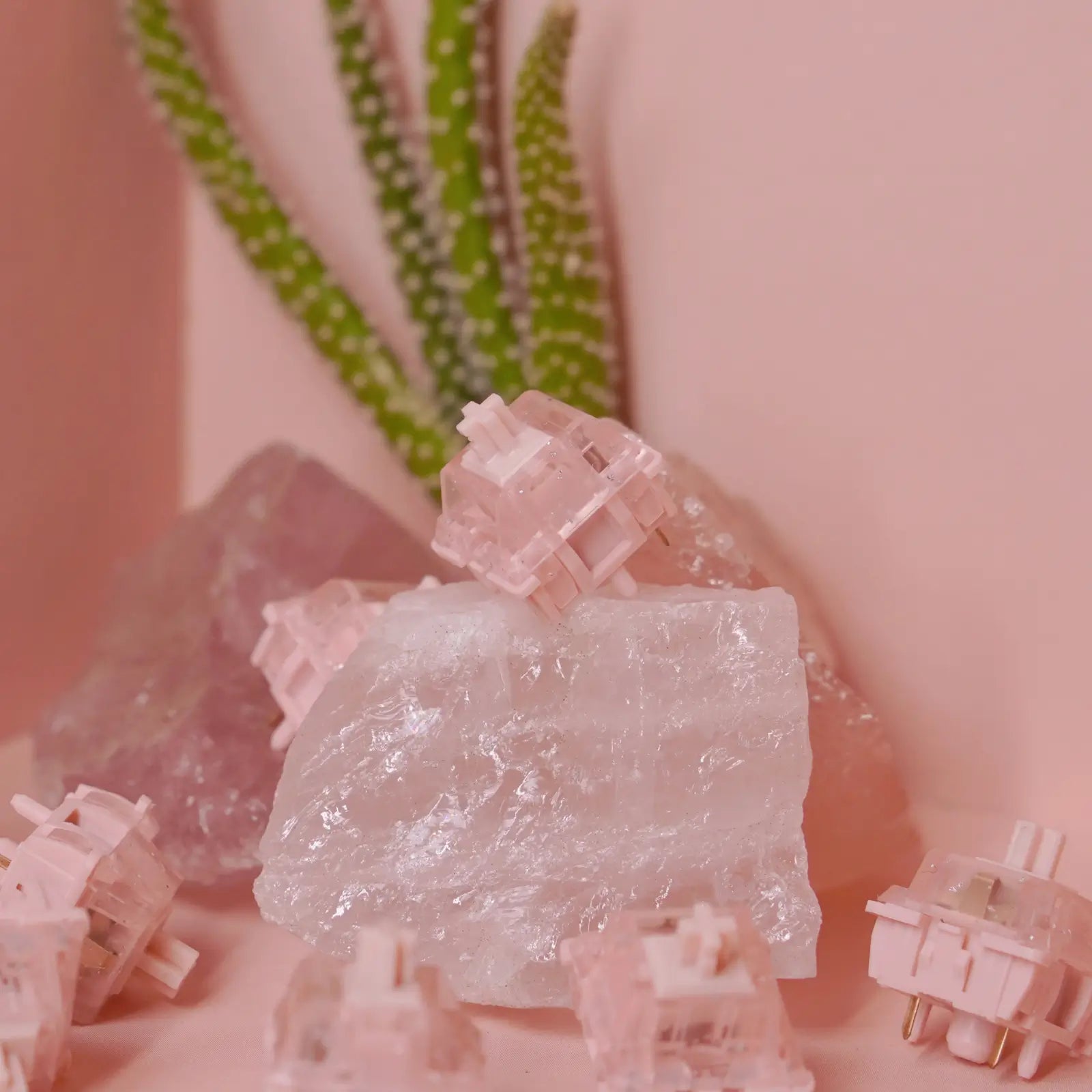 BSUN Hutt Tactile Switches