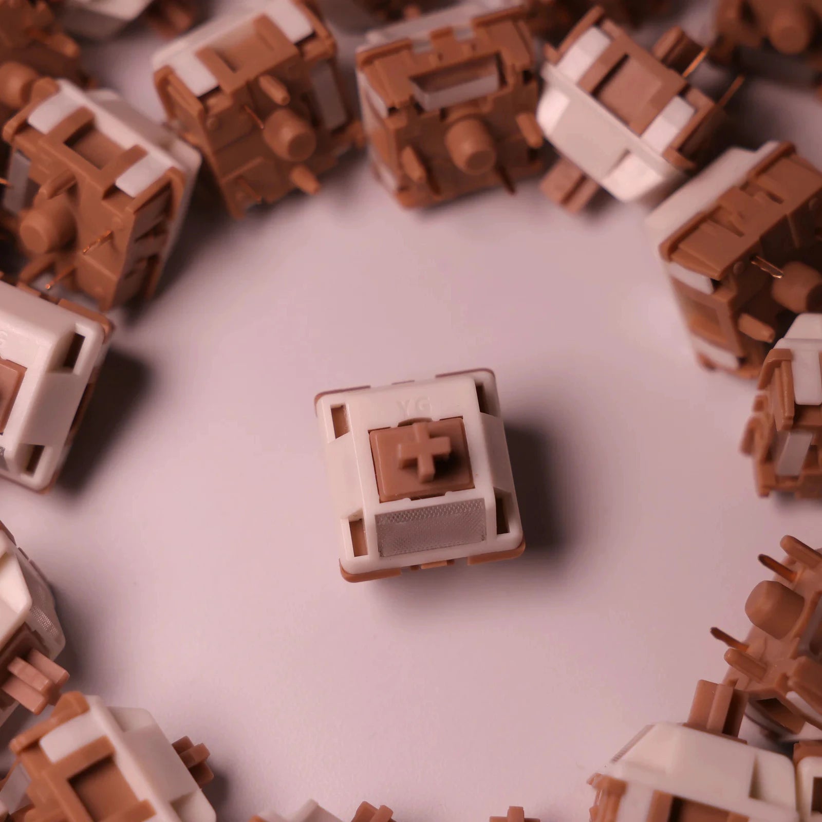 Close-up of brown and beige keyboard switches arranged in a circular pattern.