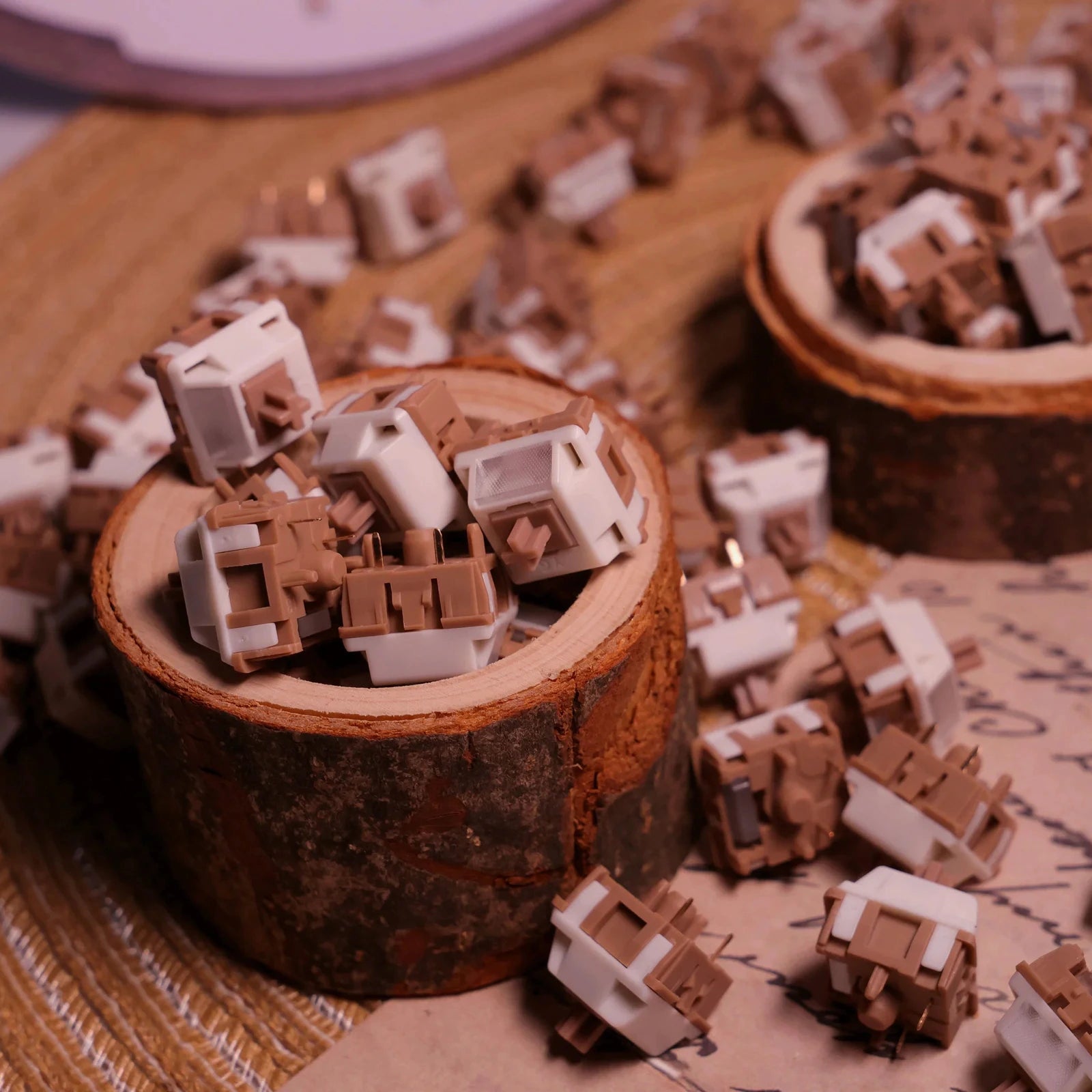 Brown and beige keyboard switches arranged on small circular containers