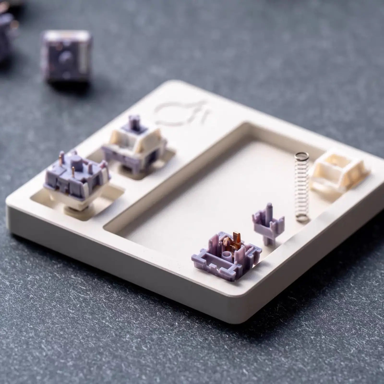 Close-up of a deconstructed mechanical keyboard switch