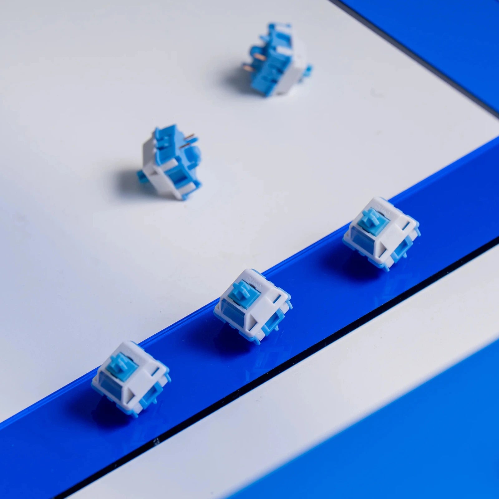 Blue and white mechanical keyboard switches on a blue and white background