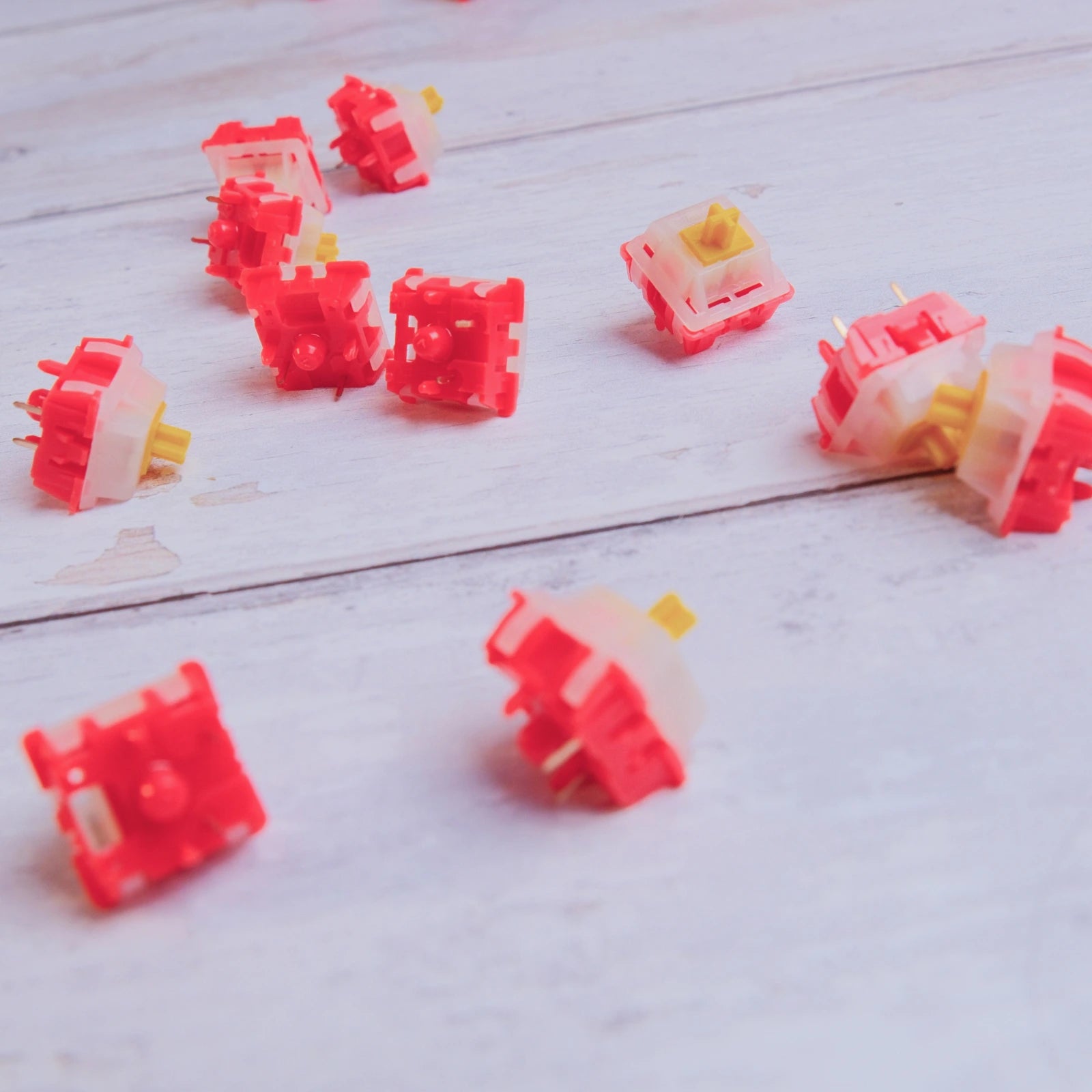 Icey Ice Mangoberry Tactile Switches