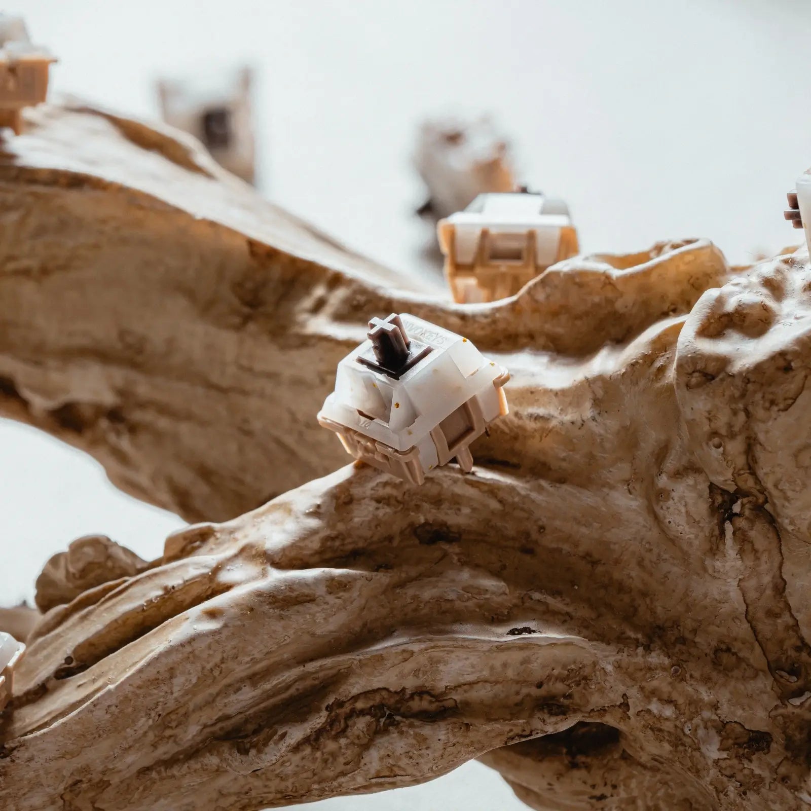 Invokeys Hojicha Reserve Switches