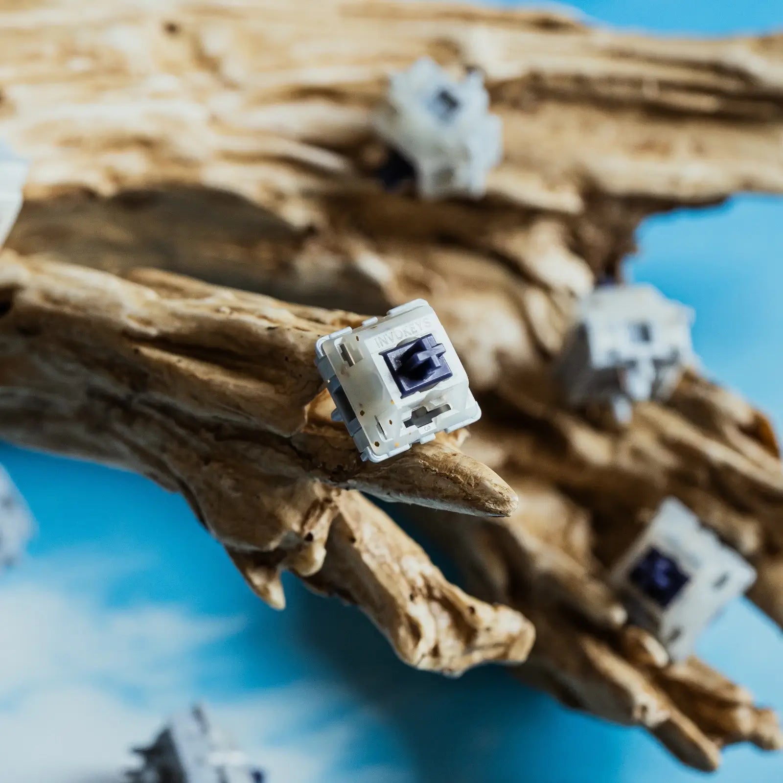 Invokeys Pea Flower Switches