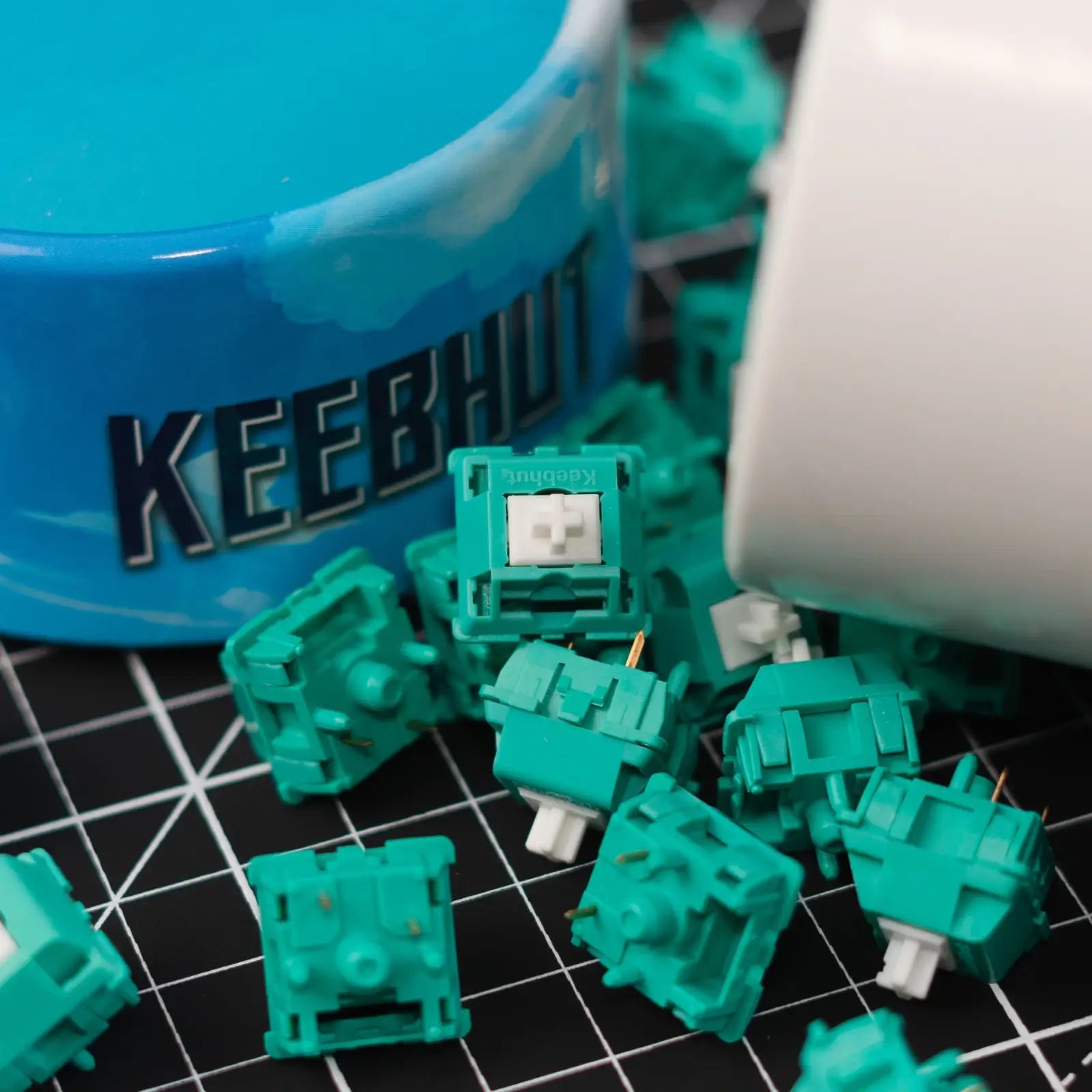 Keebhut Tropical Waters V3 Switches