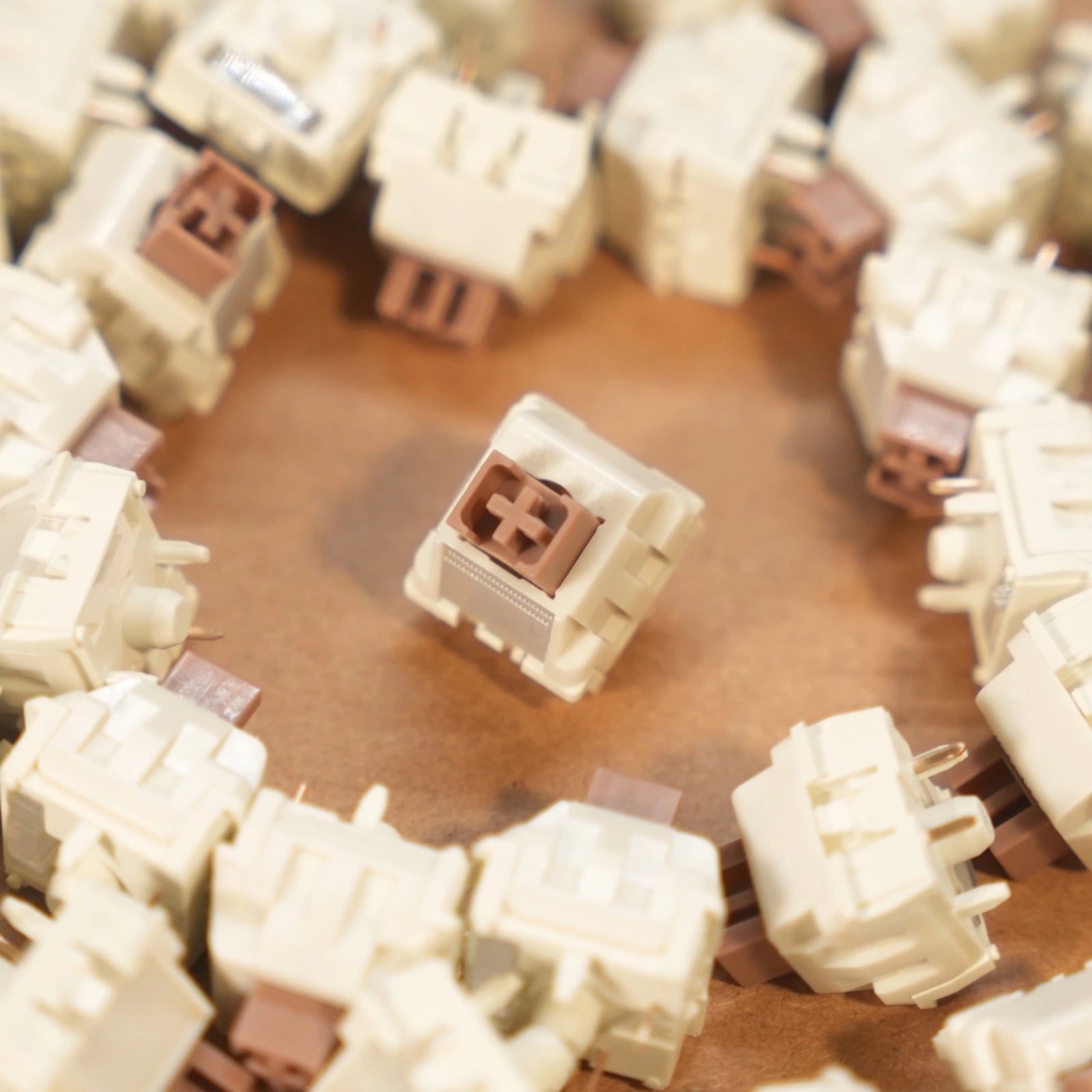 WingTree x Lichicx Puer Tea Silent Tactile Switches
