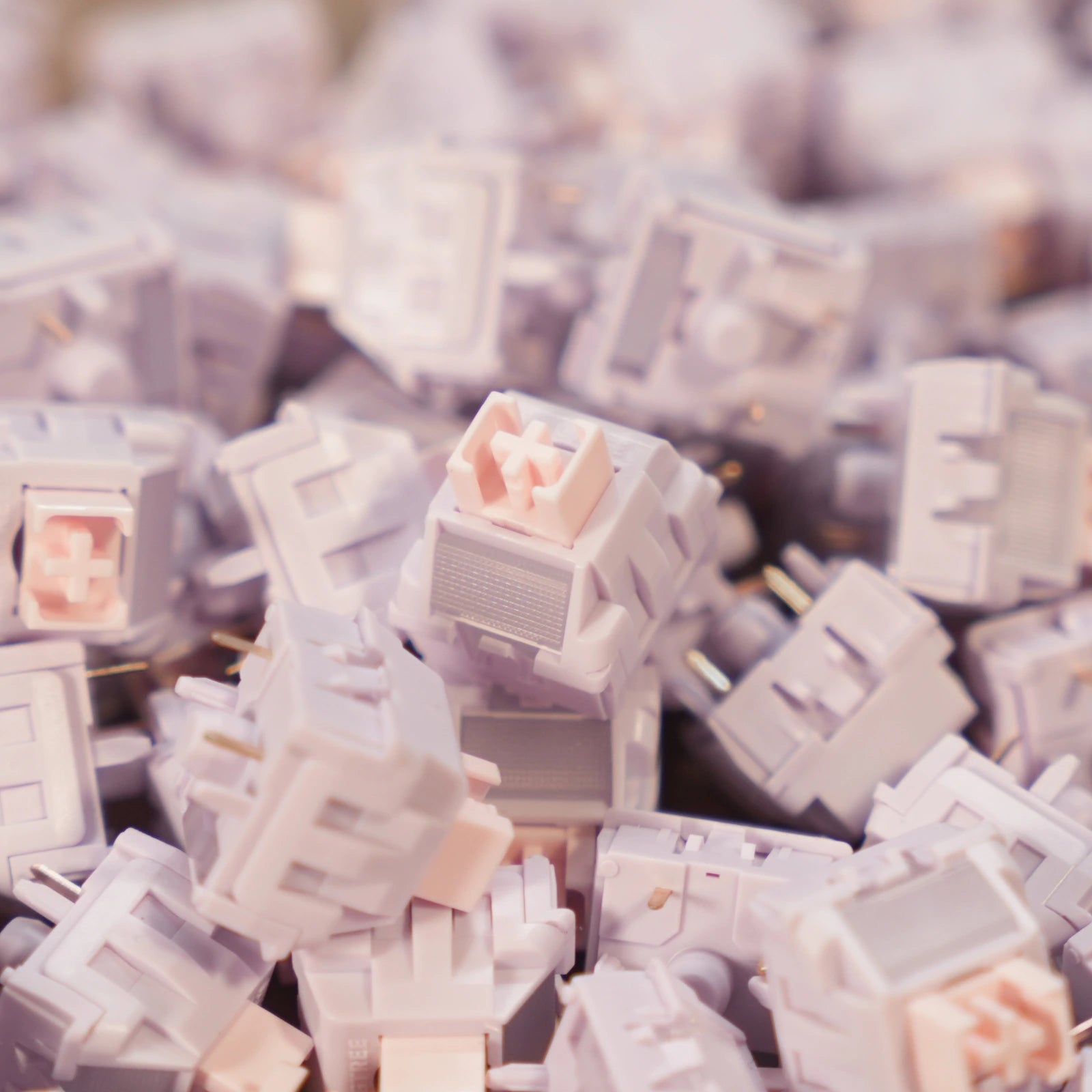 Close-up of mechanical keyboard switches with a soft focus background
