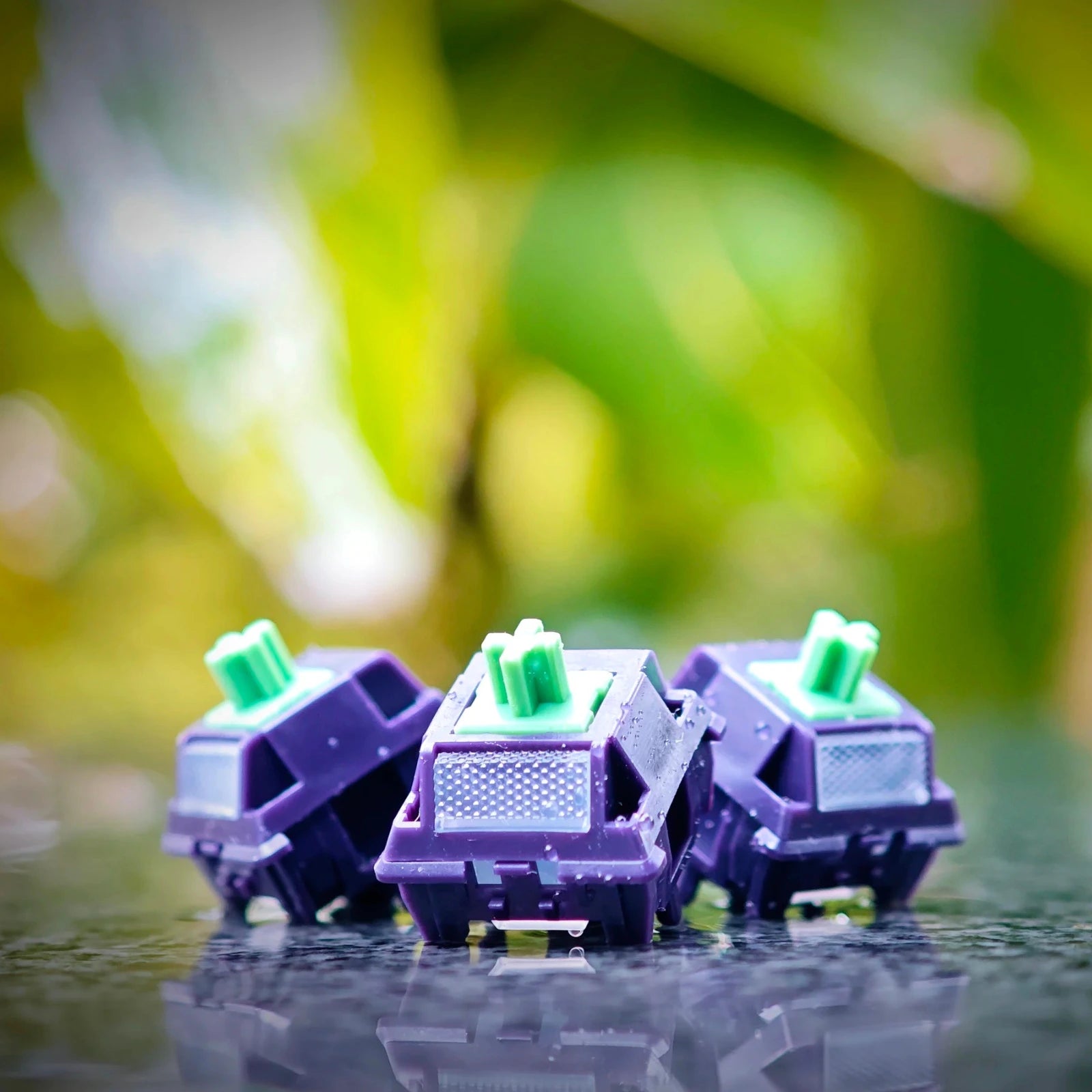 Haimu x YG Studio Mulberry Switches