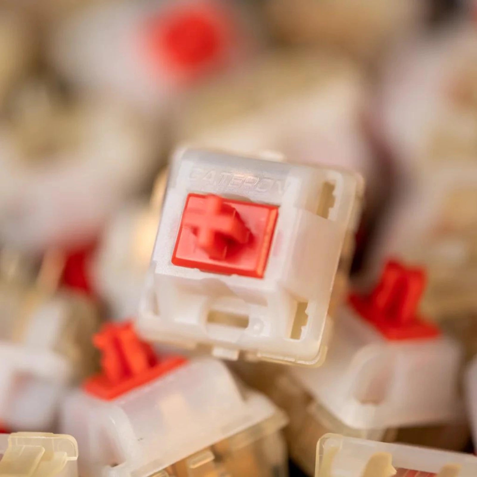 Gateron Cream Soda Switches