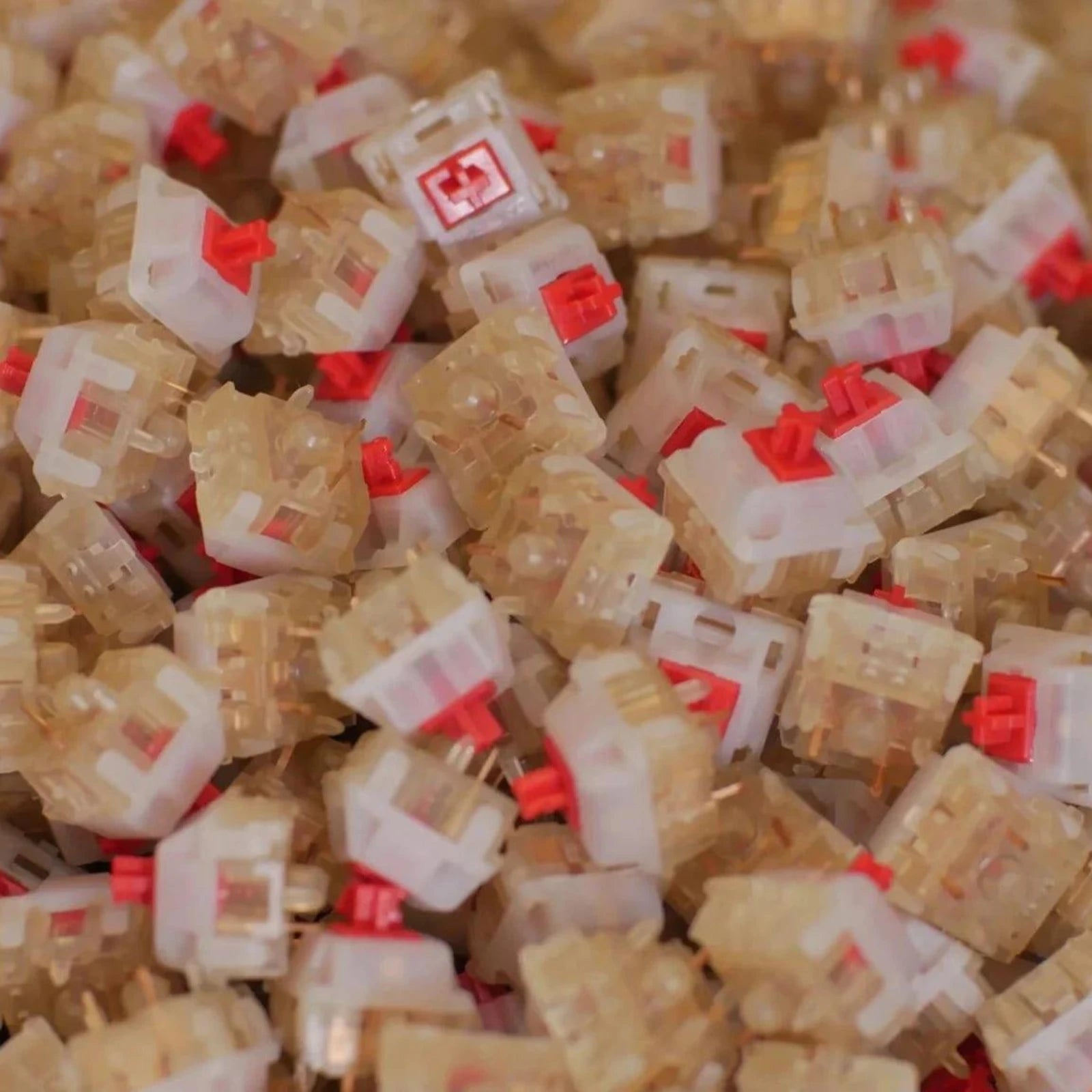Gateron Cream Soda Switches