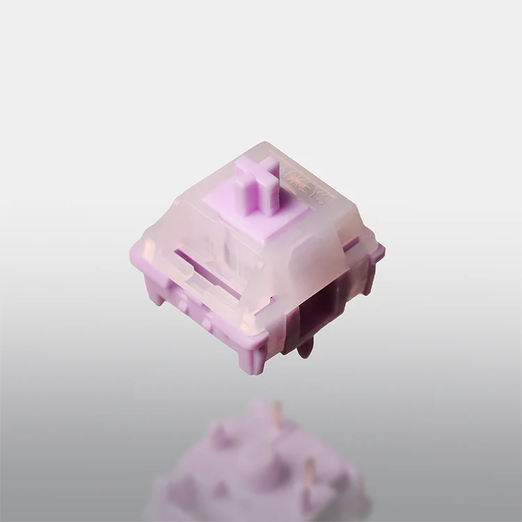 SW x HMX Catmint Switches
