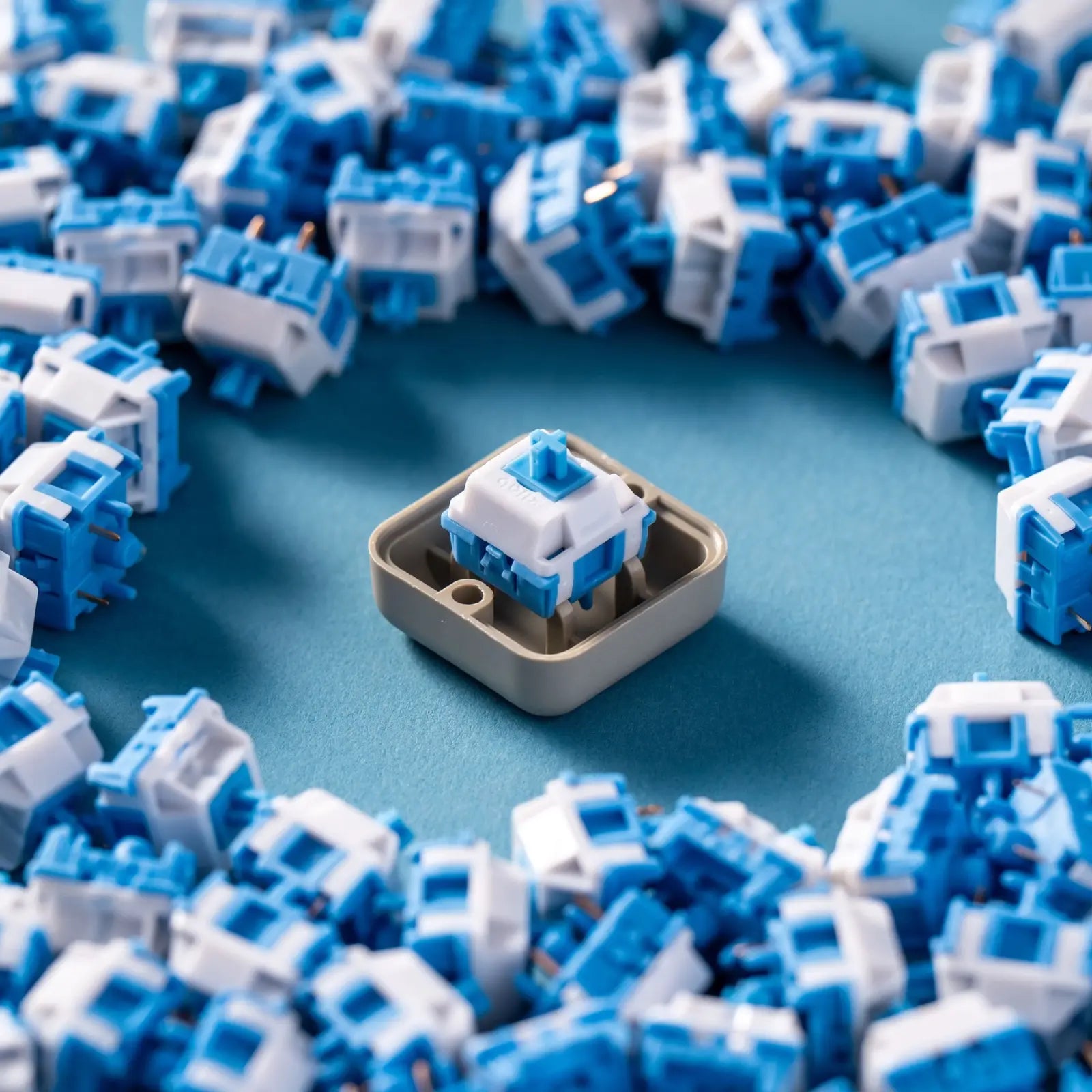 HMX Cloud Switches