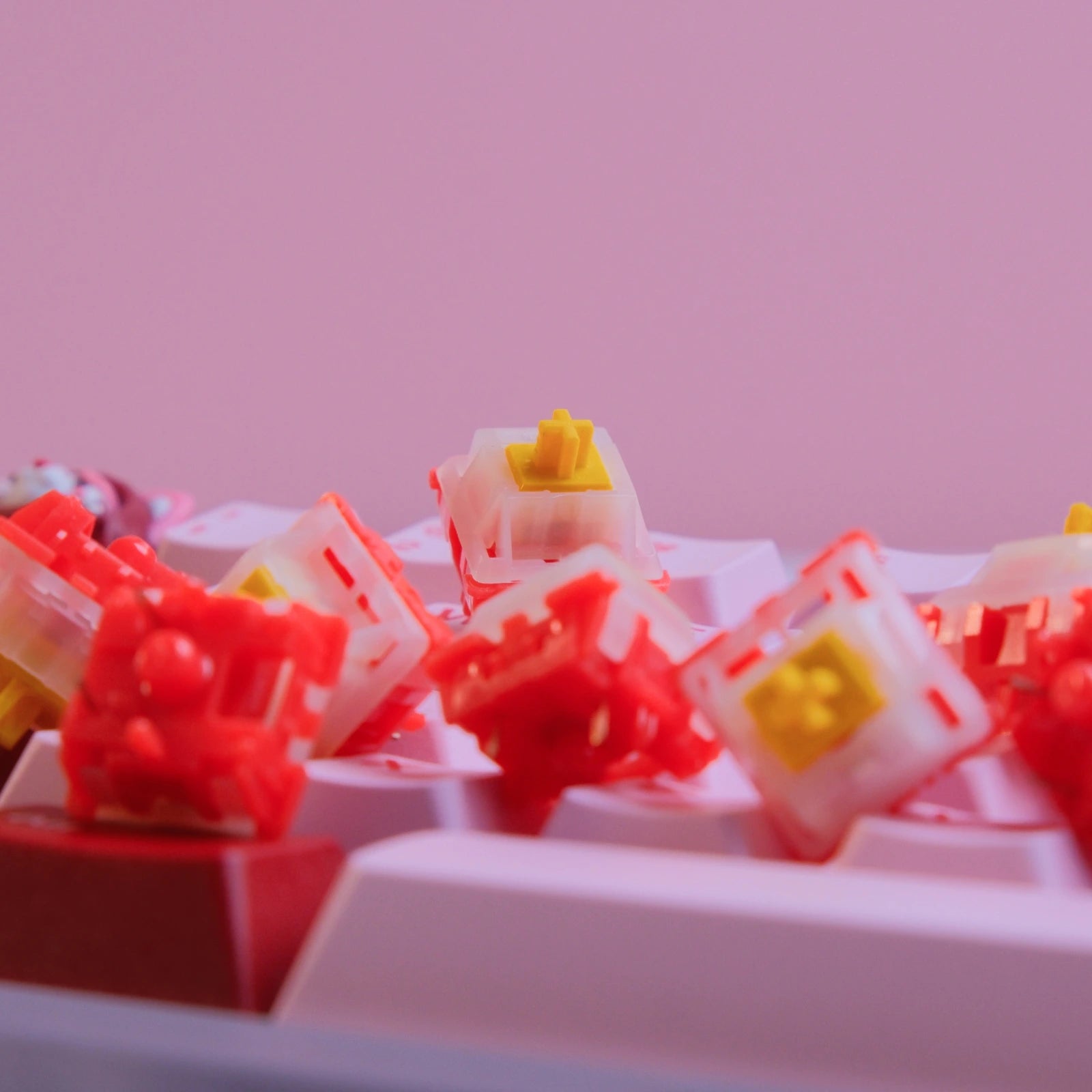 Icey Ice Mangoberry Tactile Switches