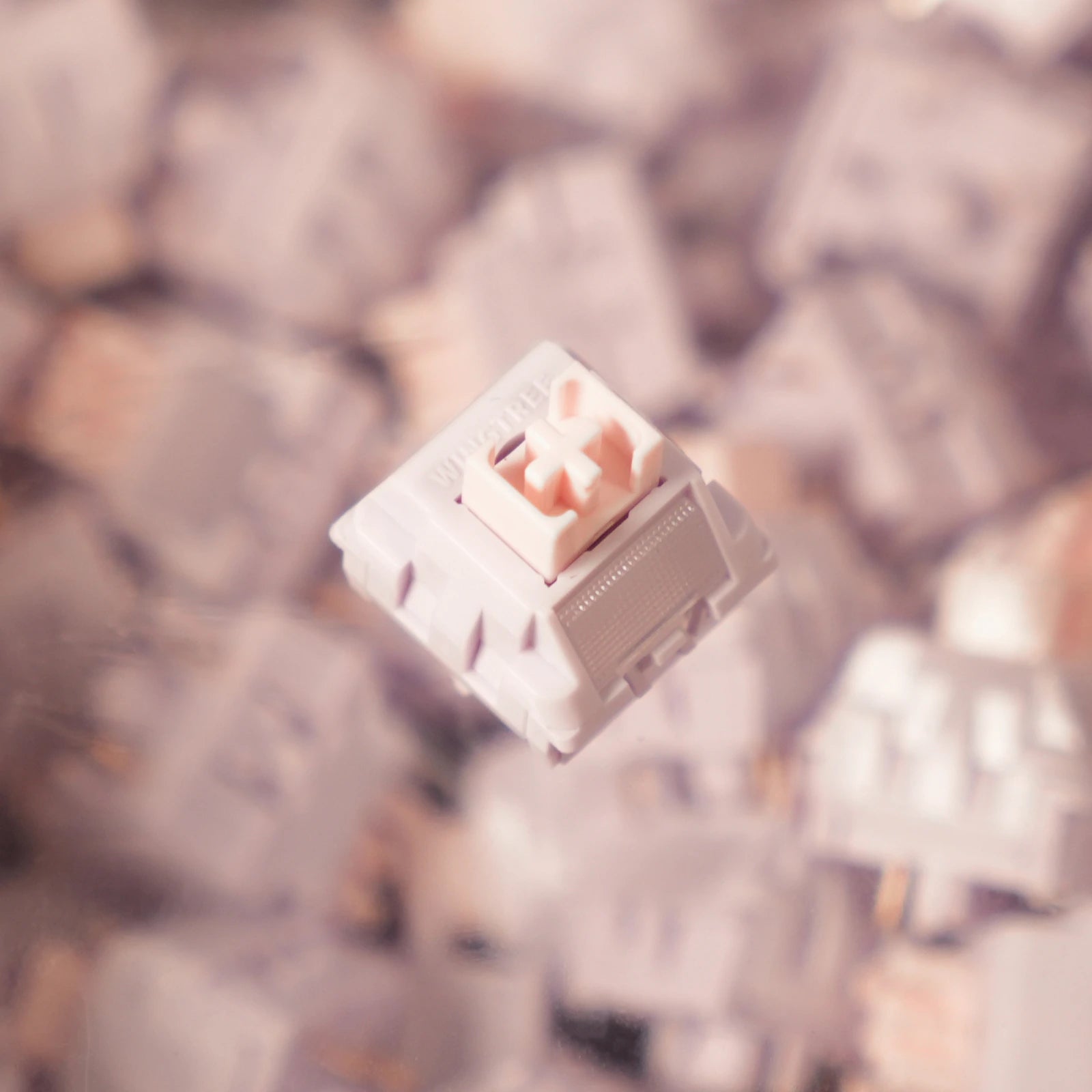 Close-up of a mechanical keyboard switch with a blurred background